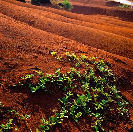 《龙之信条2》Steam峰值超18万 几乎是初代游戏7倍